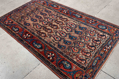 Antique Baktiary Area Rug (4' x 7')